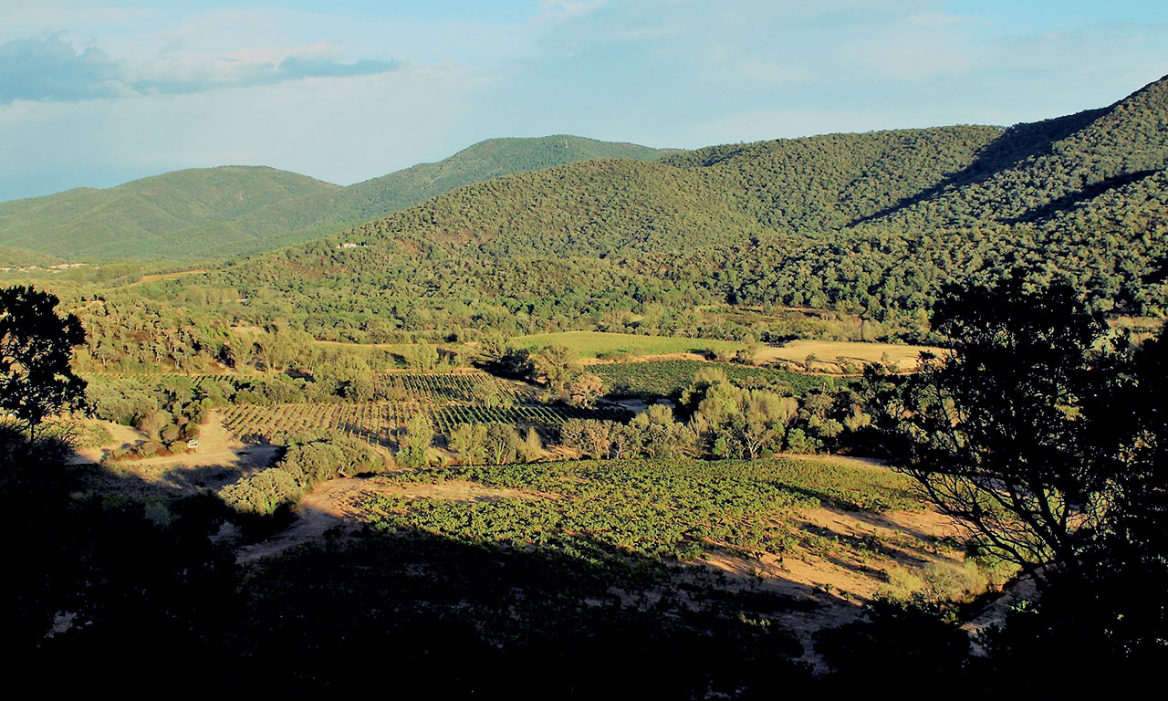 Domaine Sainte Marie