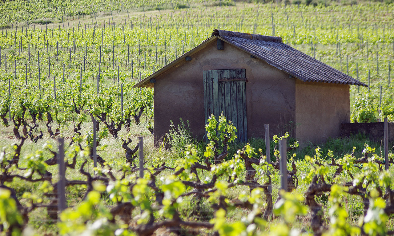 Domaine Sainte Marie
