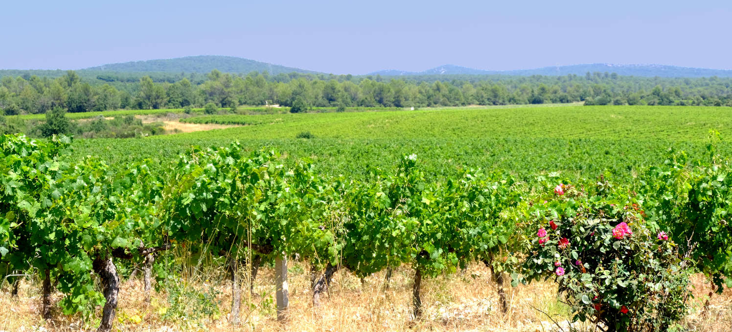 Les Terres de Saint Hilaire